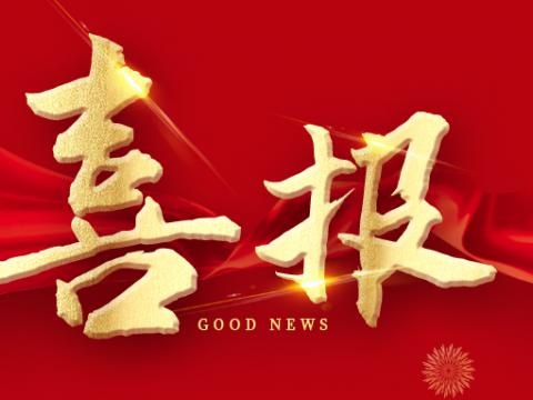 威騰電氣榮膺江蘇省制造業(yè)領(lǐng)航企業(yè)